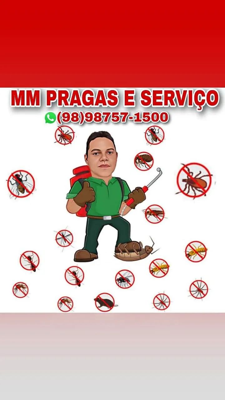 Dedetização profissional sem cheiro promoção - Foto 5