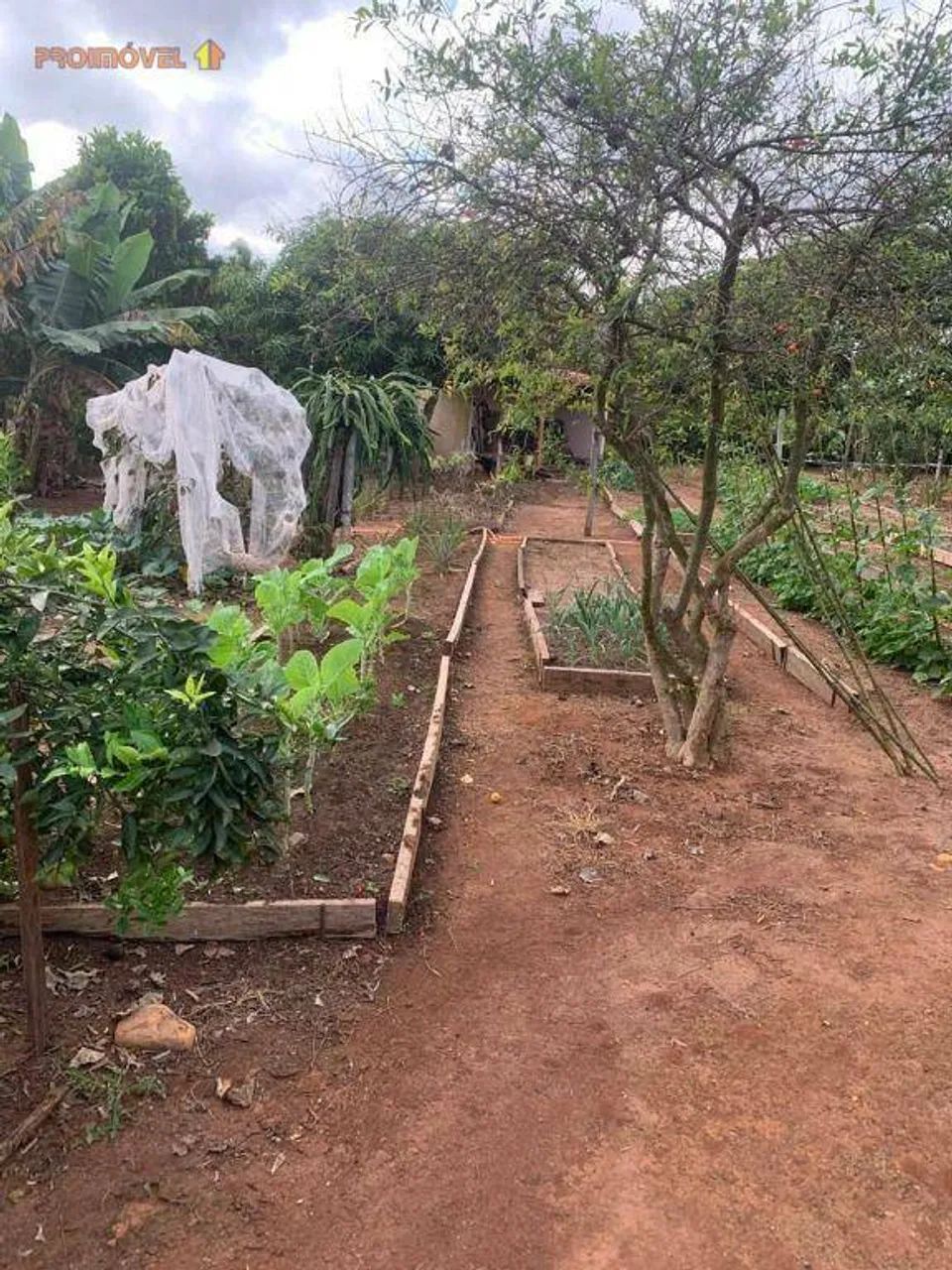 Terreno, Condomínio Primavera - Salto SP - Foto 3