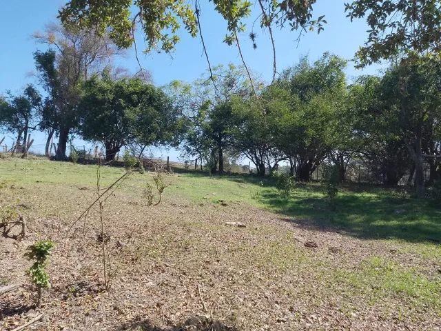 sitio - Foto 4