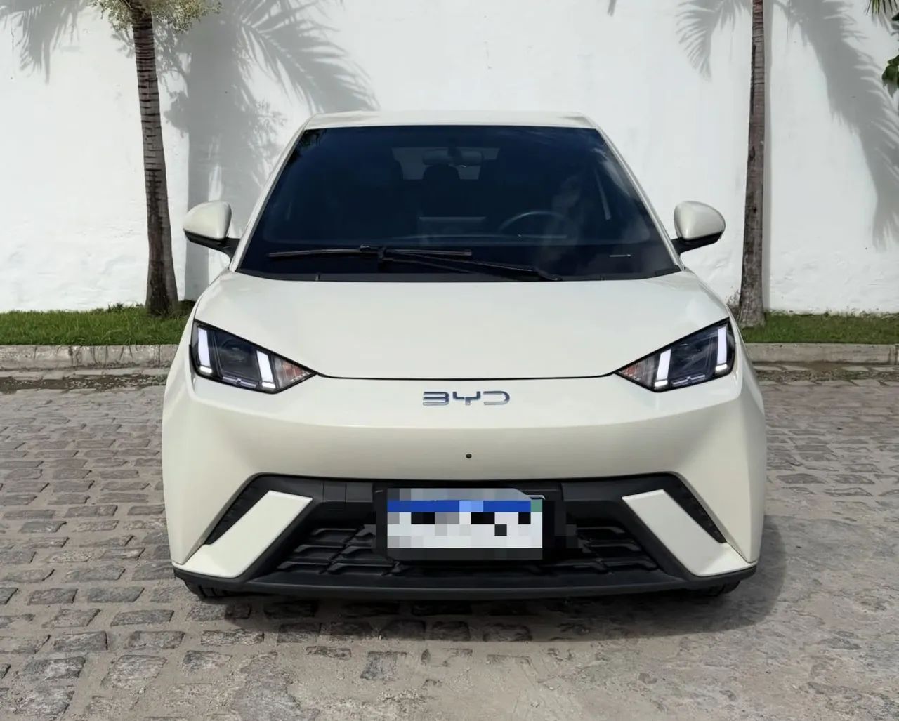 BYD Dolphin Mini (Elétrico) 2025