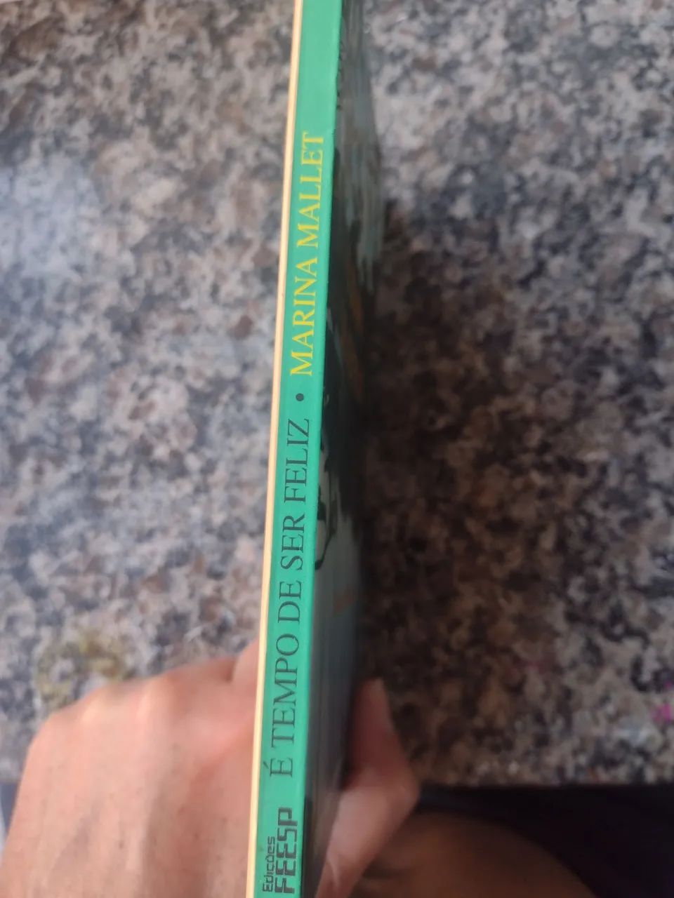 Livro de Marina Mallet - Foto 2