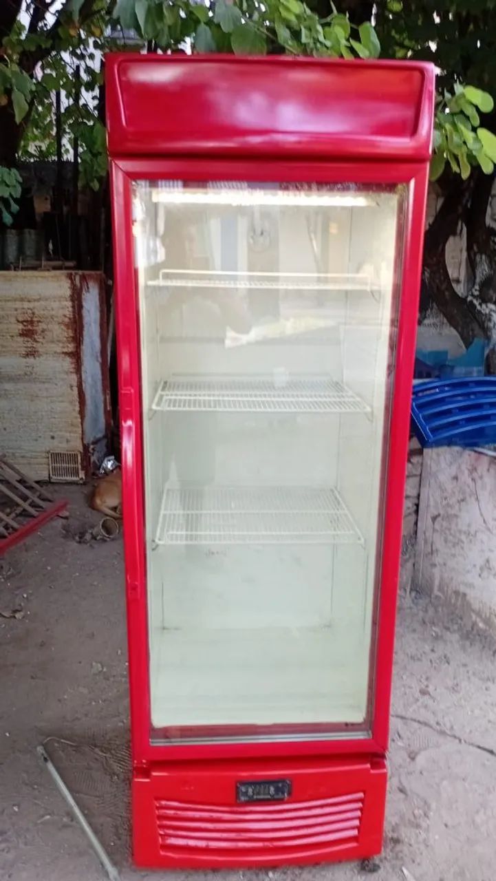 Freezer expositor 