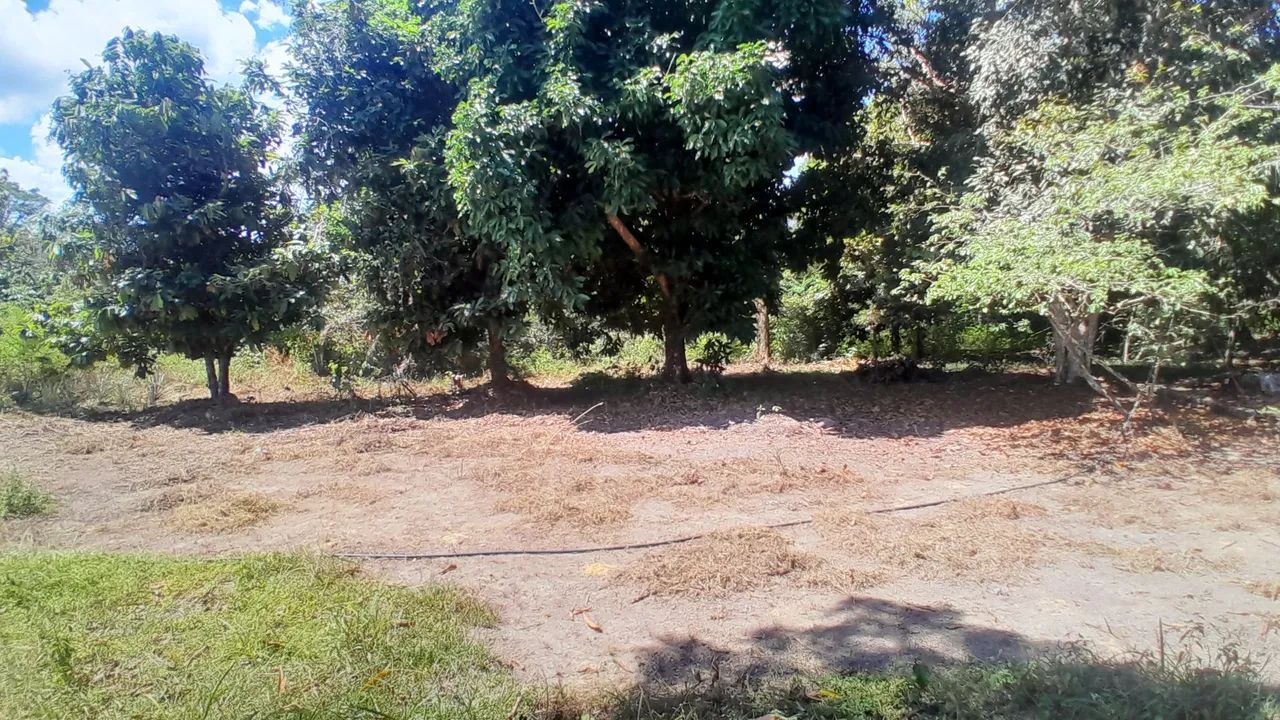Vendo lote medindo 50x100  - Foto 3