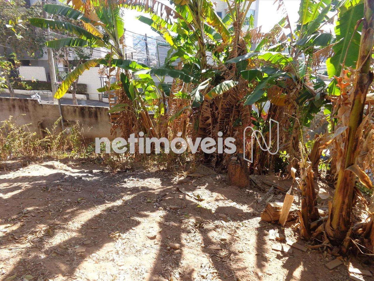 Venda Casa Nova Esperança Belo Horizonte - Foto 4