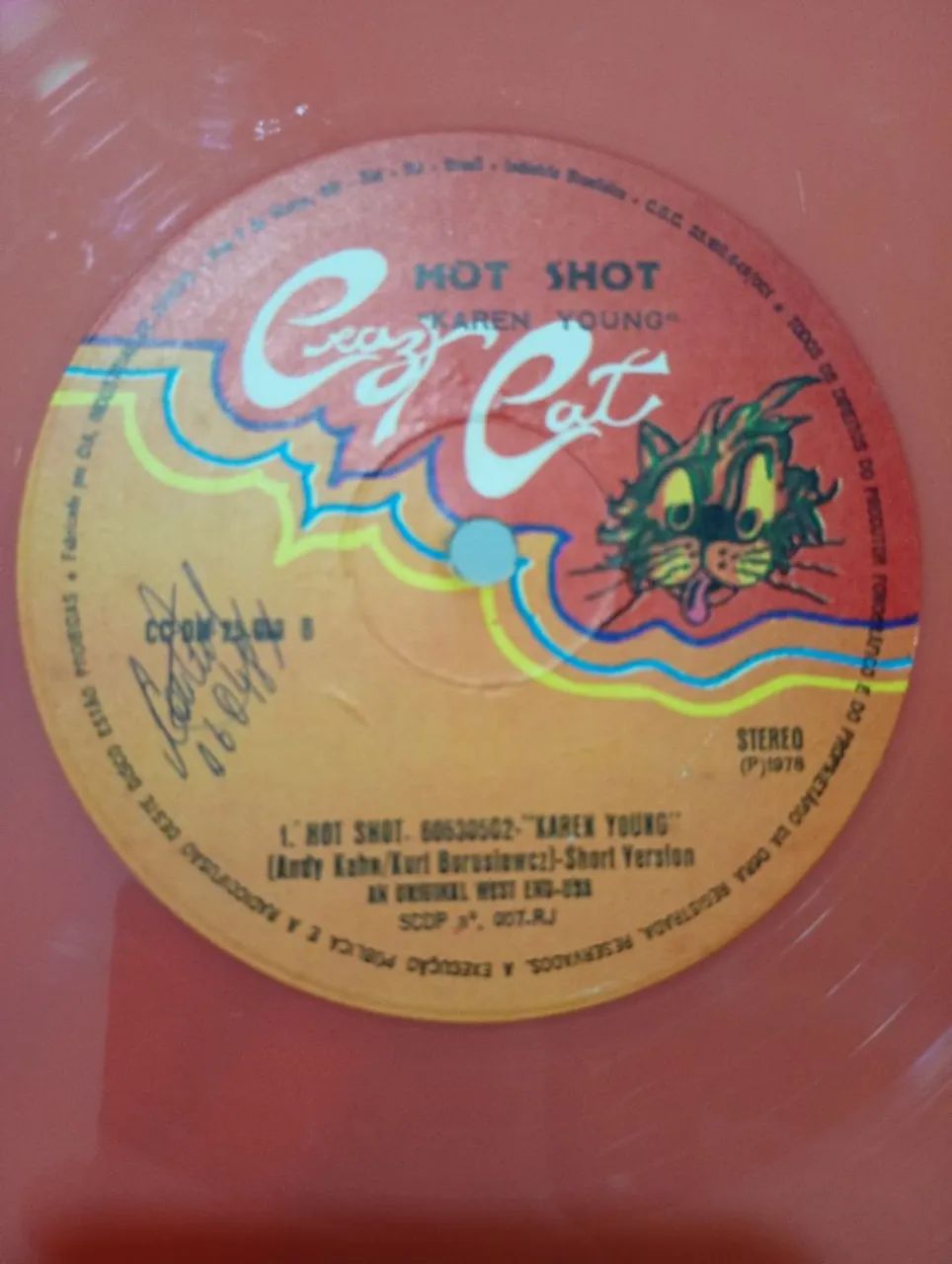 LP Hot Shot /Karen Young  (1978) - Foto 4