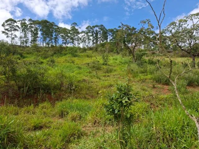 Vendo terreno com 10000 m2 em Piedade dos Gerais - Foto 4