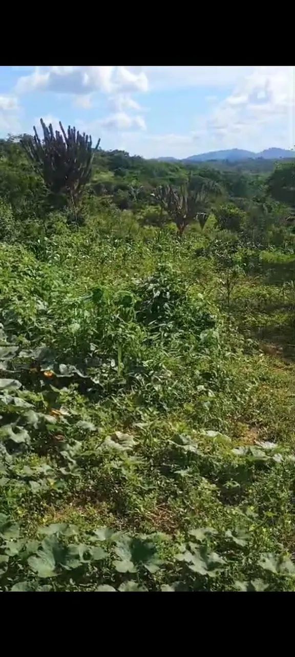 Terreno a venda  - Foto 2