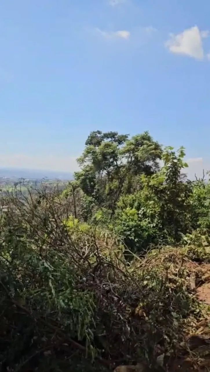 Lote São Joaquim de Bicas Oportunidade  - Foto 2