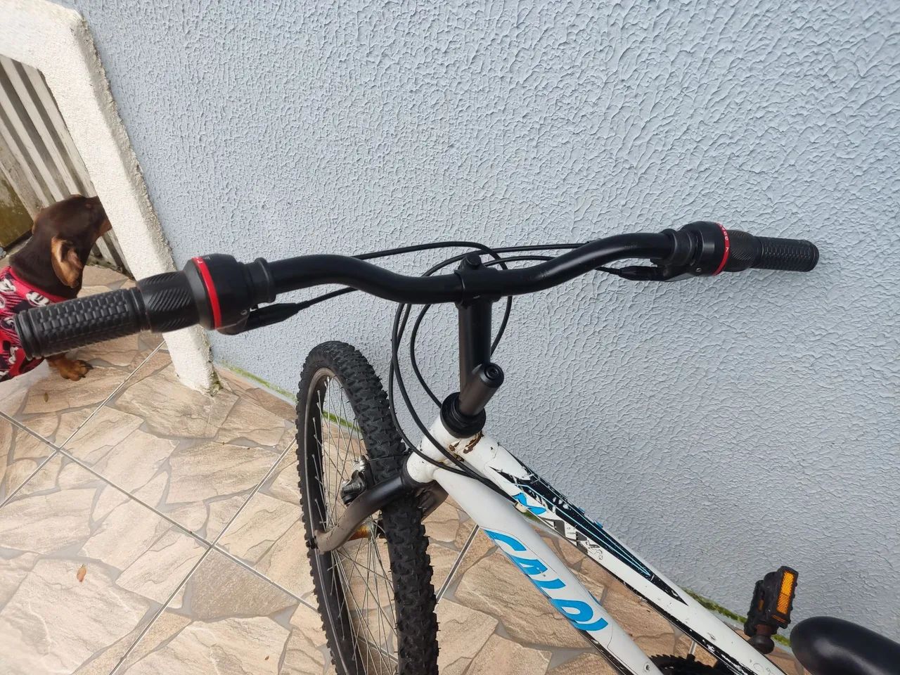 Bicicleta  - Foto 2