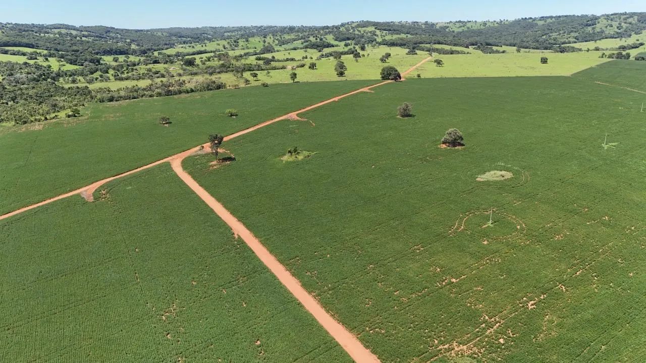 Fazenda em Morrinhos-go - Foto 4