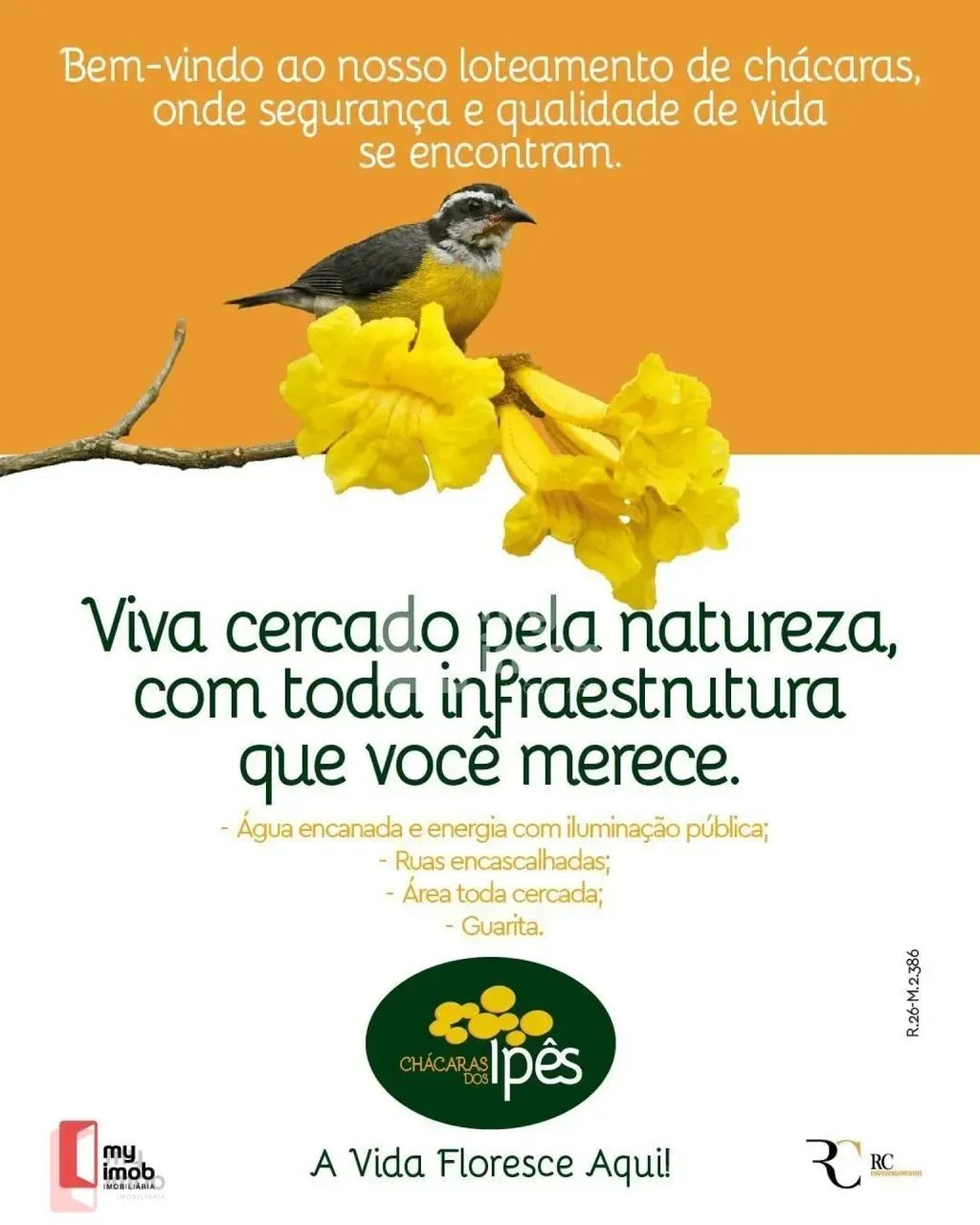 Chácara à venda próximo a Joanópolis - 20 min de Anápolis - PARCELADAS - Foto 5