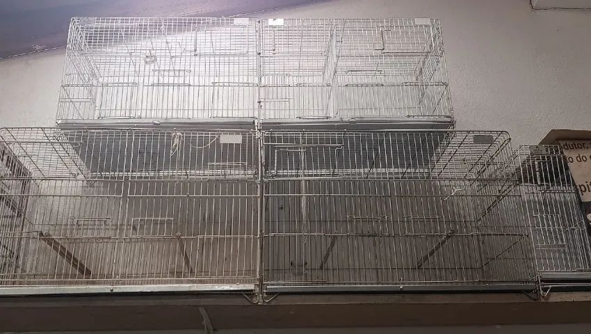 gaiolas de passaros e estaca de canto - Foto 5
