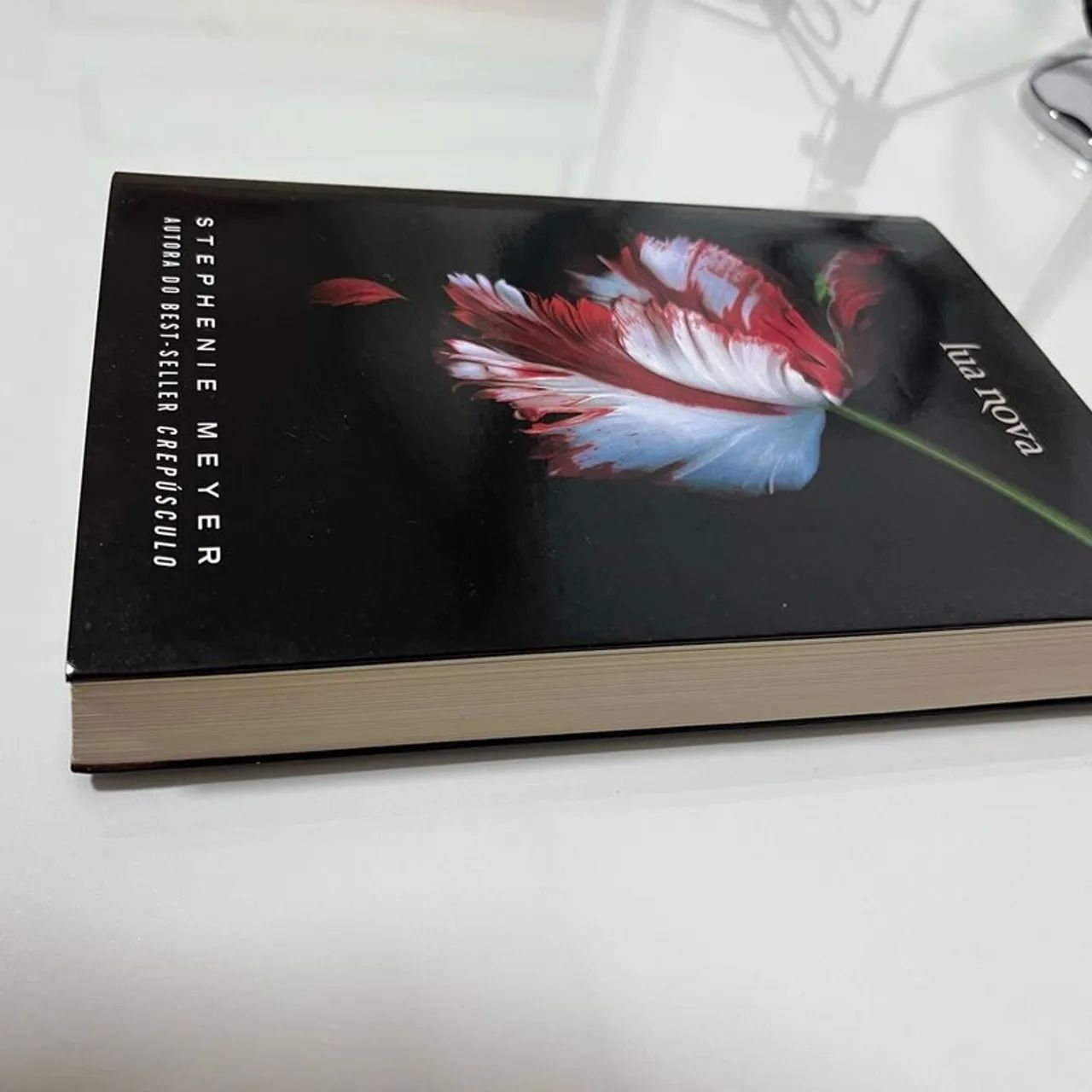 livro crepúsculo lua nova - Foto 3