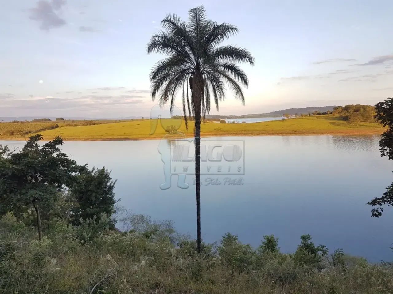 Terreno de 5.000m² em Delfinópolis
