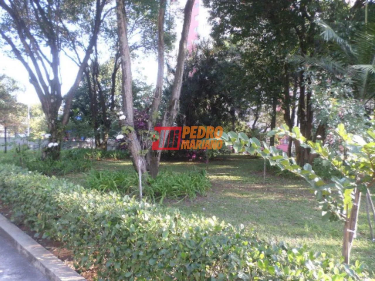Prédio Comercial no Bairro Anchieta em São Bernardo do Campo - Foto 5