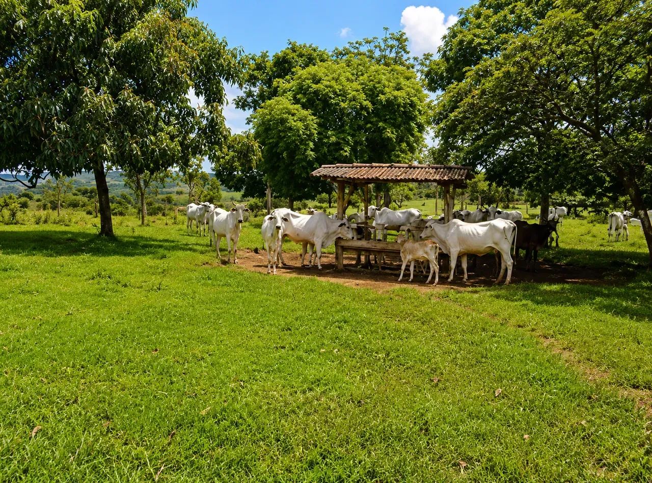 Imóvel para venda tem 4636720 metros quadrados com 10 quartos em Zona Rural - Ipameri - GO - Foto 5