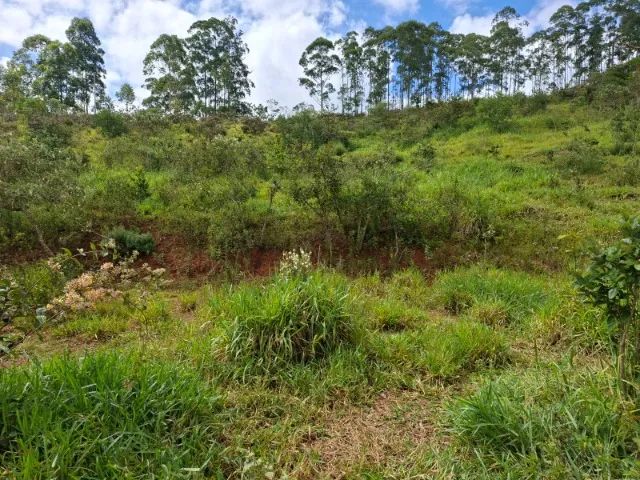 Vendo terreno com 10000 m2 em Piedade dos Gerais - Foto 2