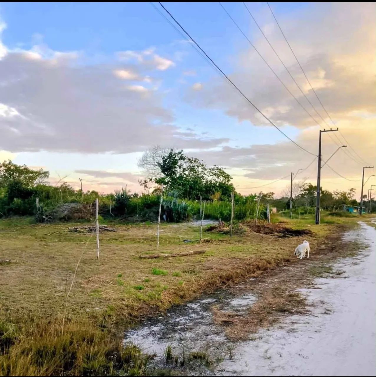 Terreno em MOSQUEIRO   - Foto 3