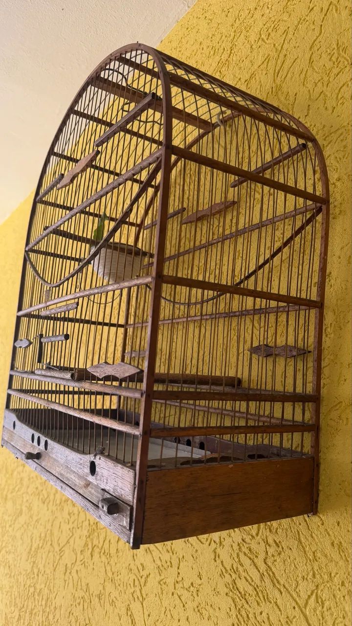 Gaiola  - Foto 3