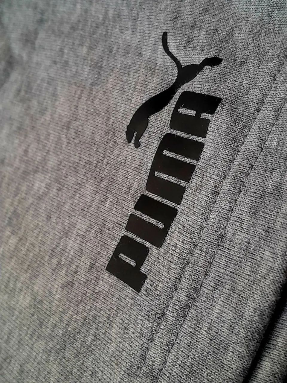 Bermuda Puma