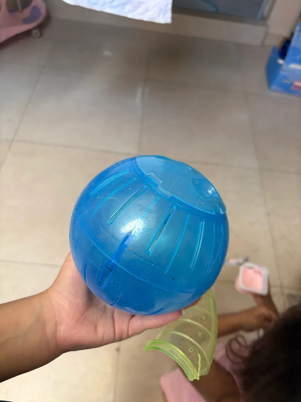 Bolinha Globo hamster passear  - Foto 2