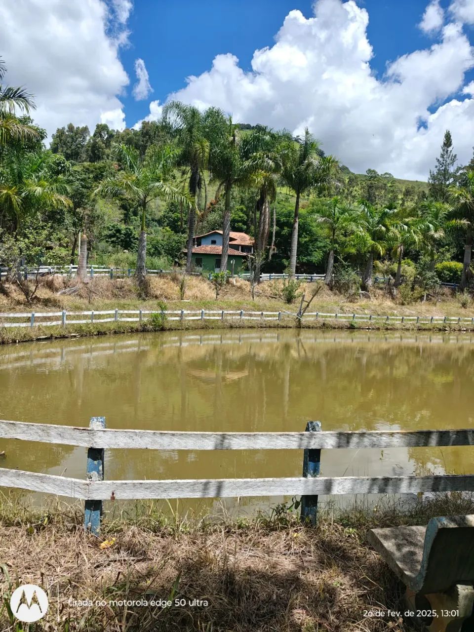 Sitio com galões e café Cristina MG - Foto 2