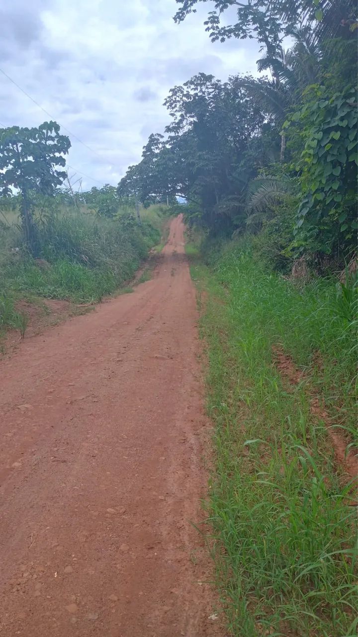 Vendo chácara  - Foto 3