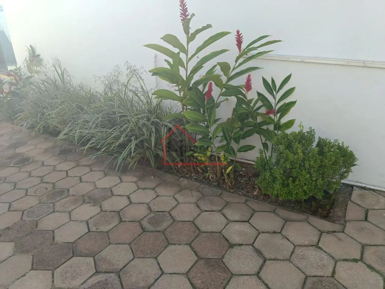 ponto comercial - Vila Santa Isabel - Campinas - Foto 3