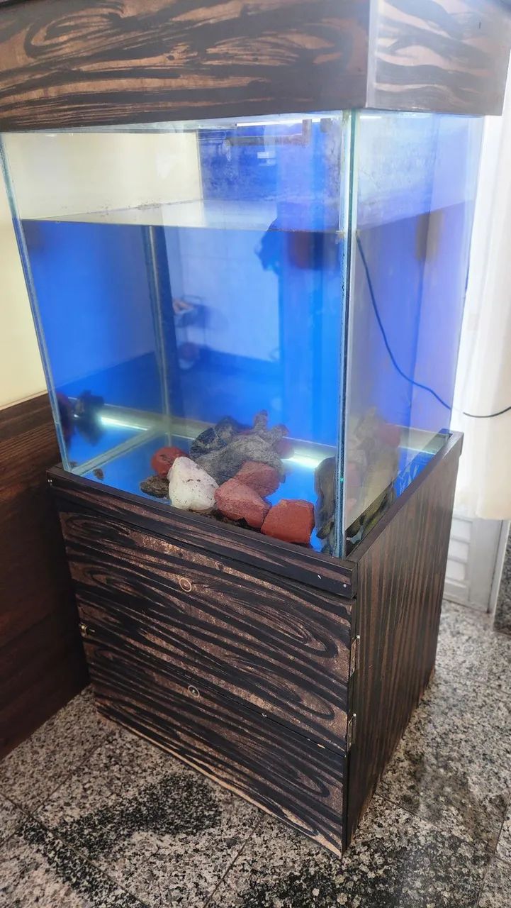 Aquário  - Foto 2