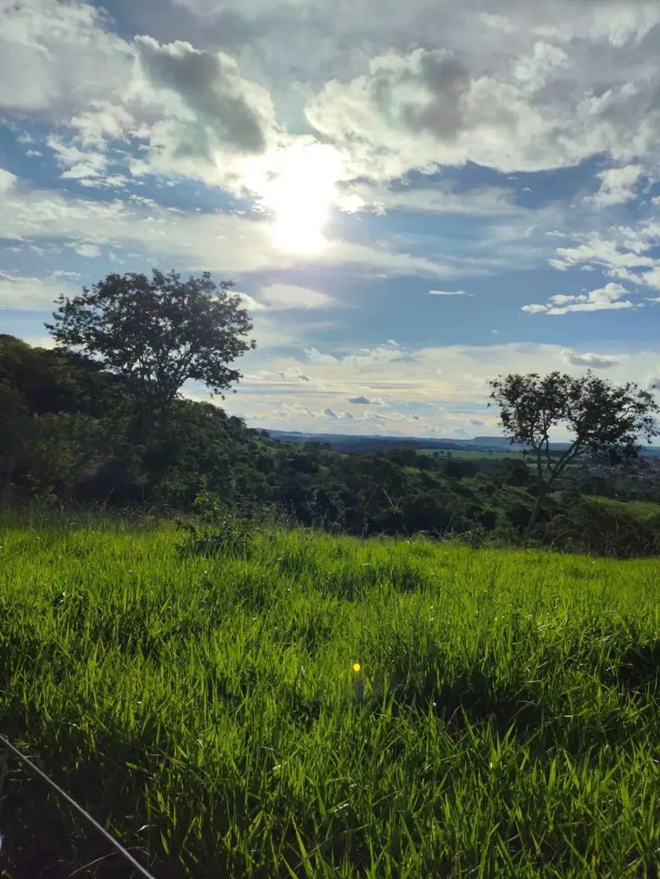 Chácara em Bonfinópolis -Go - Foto 3