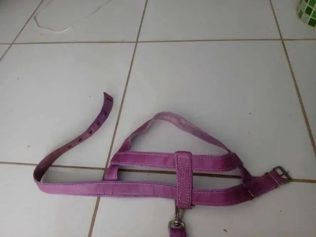 Coleira mais guia para cachorros de grande porte R$ 10,00 - Foto 4