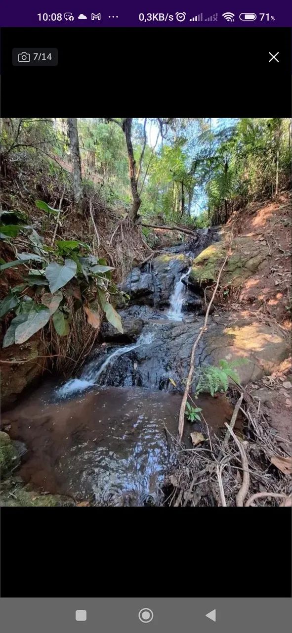 Sítio com Eucalipto em Pé, 1 Brota, São Francisco Xavier - Foto 4