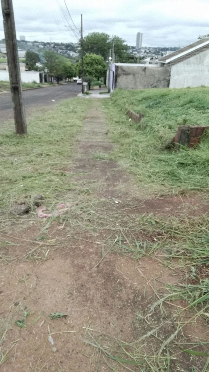Cassiano roçadas gerais  - Foto 3
