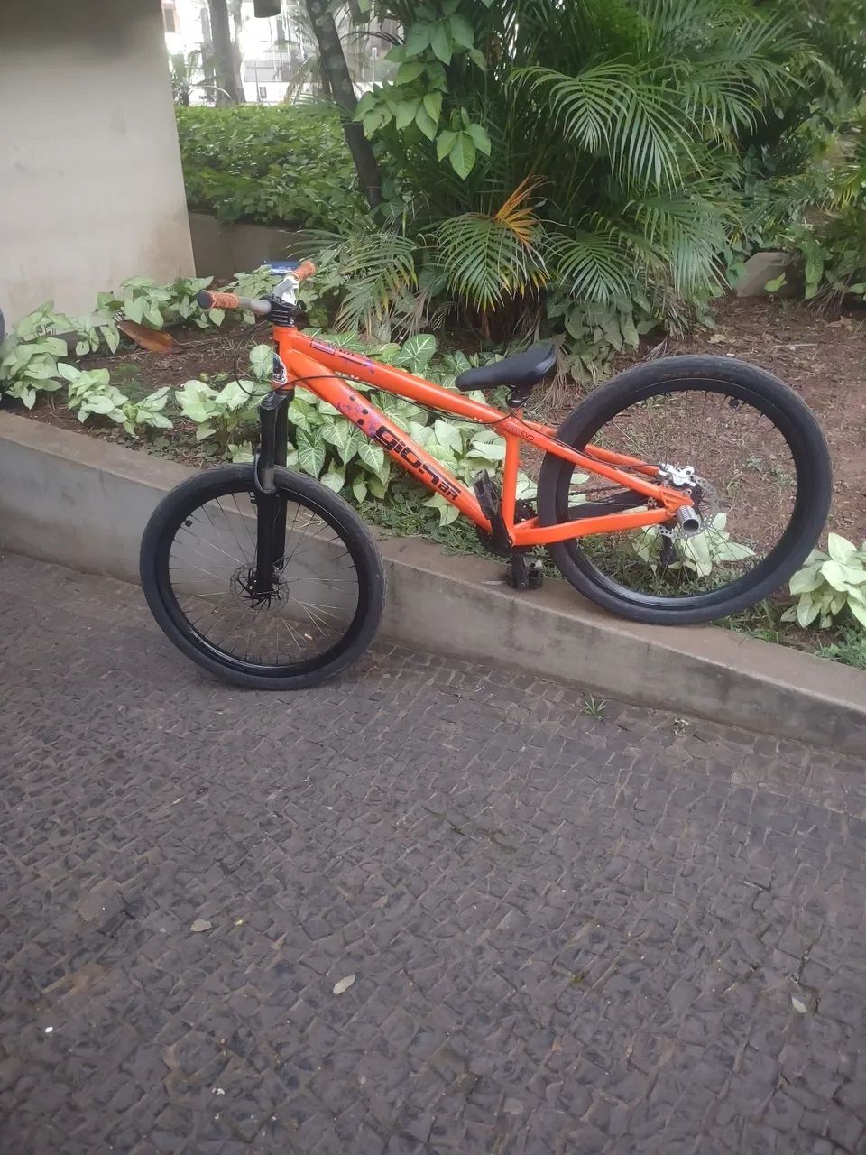 Gios Frx Evo  - Foto 2