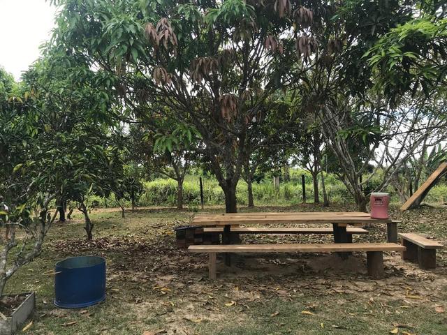 Chácara:Venda ou troca - Foto 6