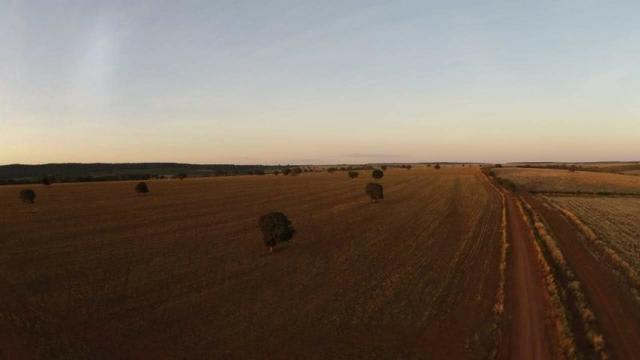 ID.12 Fazenda 190 alq. Para Lavoura á venda em Caldas novas-Go - Foto 3