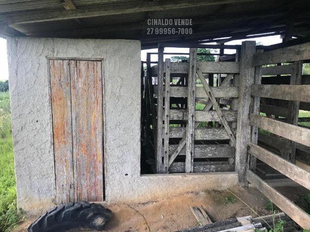 Fazenda em Nova Venécia ES com 25 alqueires (121 hectares) - Foto 18