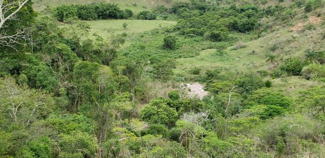 Fazenda 307 hectares localizada na Região sudene em Itambacuri, Leste de Minas Gerais - Foto 15