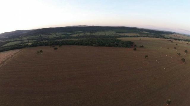 ID.12 Fazenda 190 alq. Para Lavoura á venda em Caldas novas-Go - Foto 5