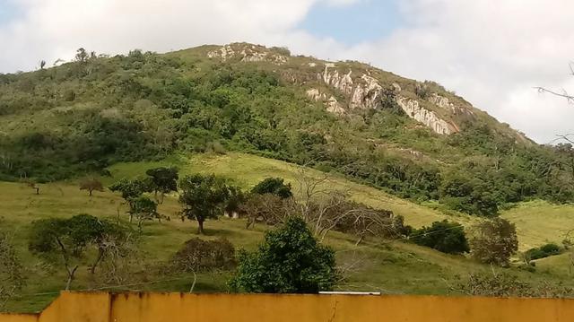 Sairé=Vend-25 mil por Hect. Fazenda com 200 Hectares-Pronta pra Criar Gado - Foto 6