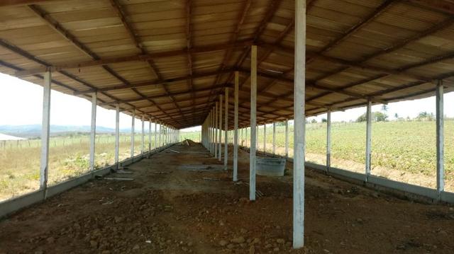 Chã de Alegria=Vend-145 mil=Sítio com 3 Hrct.Galpão,Casa,Água,Energia e mais - Foto 5