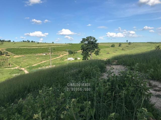 Fazenda em Nova Venécia ES com 25 alqueires (121 hectares) - Foto 20