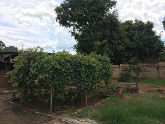 Urgente - Chácara em Luziânia - Foto 13