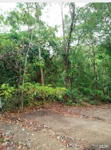 Chácara urbana 2.400 m2 - escriturada - 5 minutos Centro - Foto 2