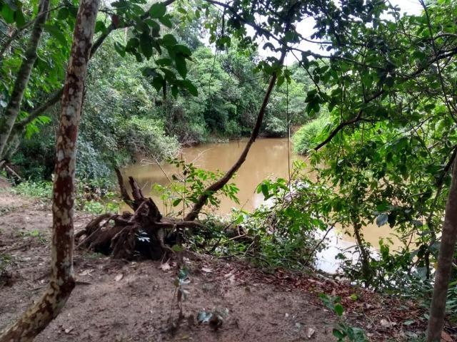 Chácara na beira do Rio Pirapitinga - Negócio de Oportunidade! - Foto 8