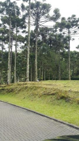Terreno à venda, 810 m² por r$ 550.000 - Foto 3