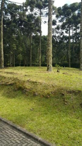 Terreno à venda, 810 m² por r$ 550.000