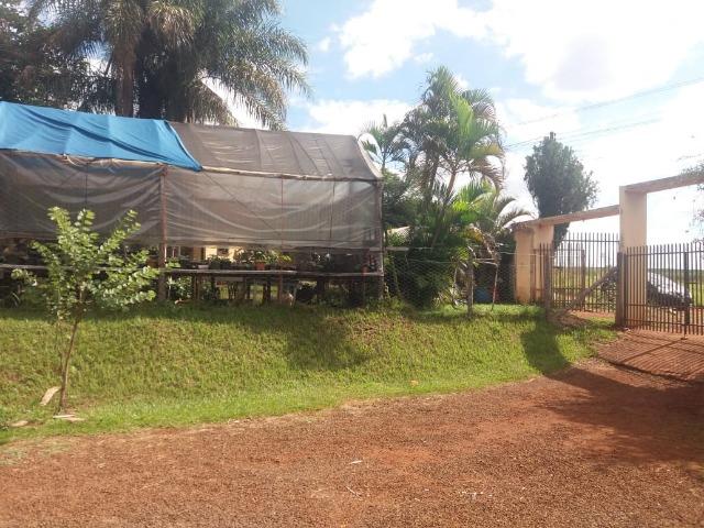 Locação - Chácara próximo à Av. Saul Elkind, 5000 m² com casa sede - Londrina/PR - Foto 7