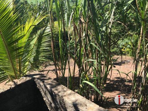 Chácara com 2 dormitórios à venda, 10000 m² por r$ 180.000,00 - residencial são vicente - - Foto 17