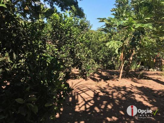 Chácara com 2 dormitórios à venda, 10000 m² por r$ 180.000,00 - residencial são vicente - - Foto 18